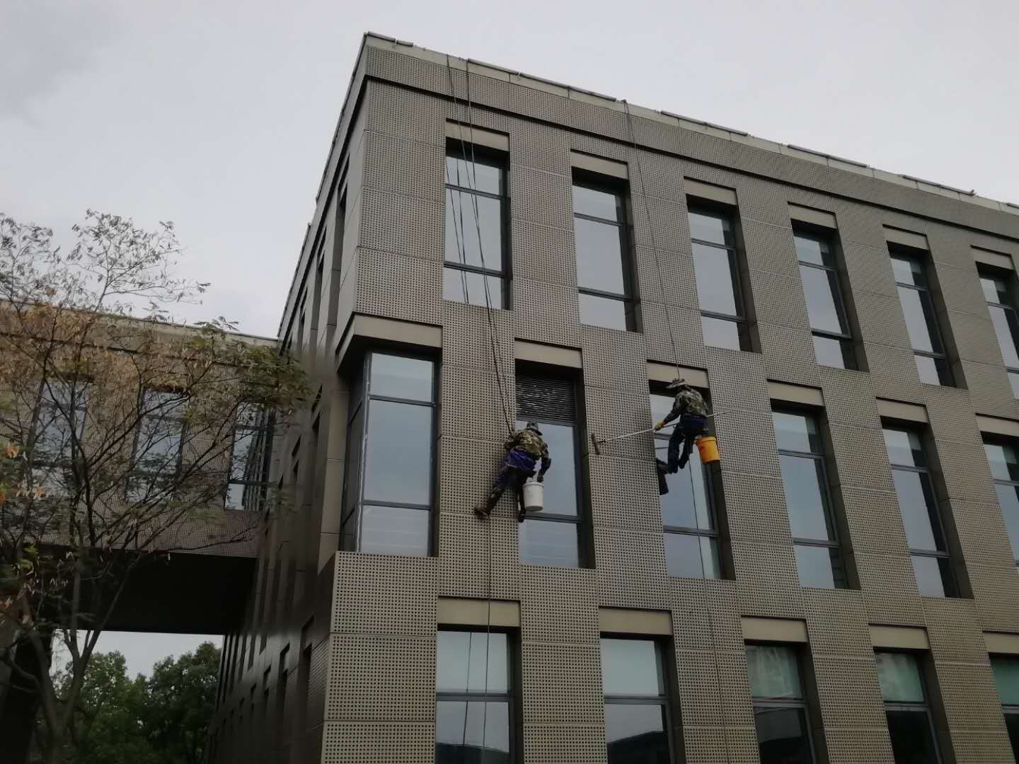 window_cleaning.jpg